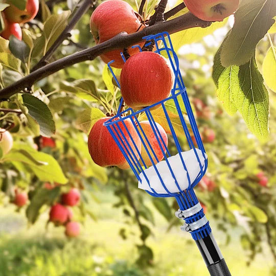 DOBEN 12FT Carbon Fiber Fruit Picker Pole with Basket Telescoping, Apple Picker with Handle, Fruit Tree Picker Tool for Getting Fruits Lemons Apples Guavas Avocados Pears Mangoes Oranges