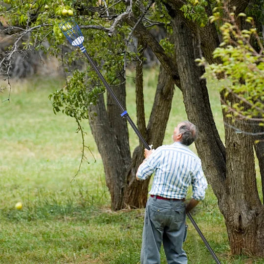 DOBEN 12FT Carbon Fiber Fruit Picker Pole with Basket Telescoping, Apple Picker with Handle, Fruit Tree Picker Tool for Getting Fruits Lemons Apples Guavas Avocados Pears Mangoes Oranges